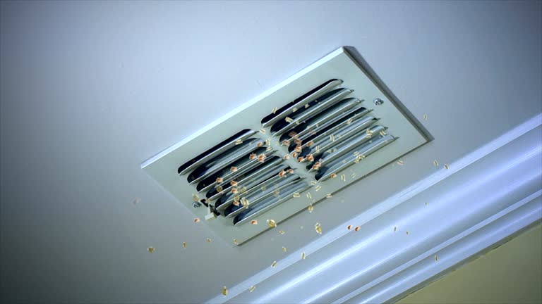 Best Local Air Duct Cleaning Services  in Belle Haven, VA